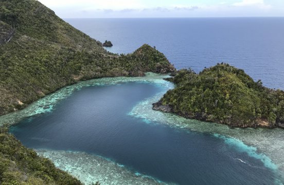 インドネシア探検クルーズ18日間コース詳細｜南極旅行・北極旅行のクルーズ・ツアー｜(株)クルーズライフ