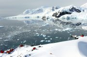 クリスマス：南極探検クルーズ12日間