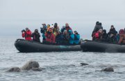 流氷のスピッツベルゲン島北部探検クルーズ8日間