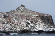 究極の南極圏横断クルーズ15日間
