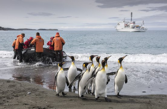 南極 ウェッデル海とフォークランド諸島探検クルーズ12日間 満席コース詳細 南極旅行 北極旅行のクルーズ ツアー 株 クルーズライフ