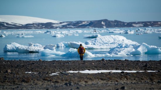 最果てのロシア高緯度北極圏探検クルーズ 22日間コース詳細 南極旅行 北極旅行のクルーズ ツアー 株 クルーズライフ