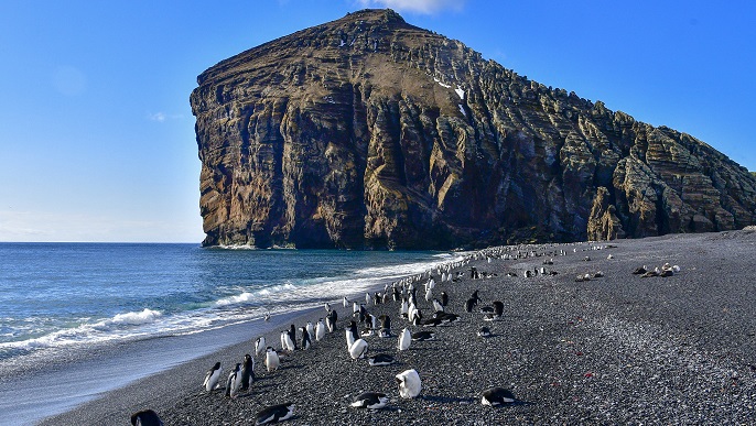 ベイリーヘッド（デセプション島）_南極旅行