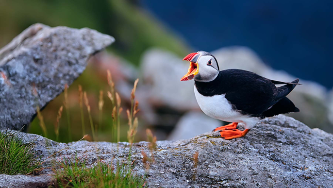 スコットランドクルーズ