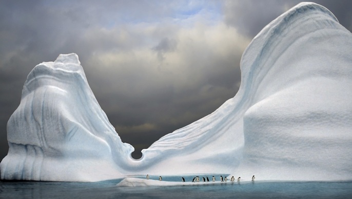 巨大な氷山/南極クルーズ
