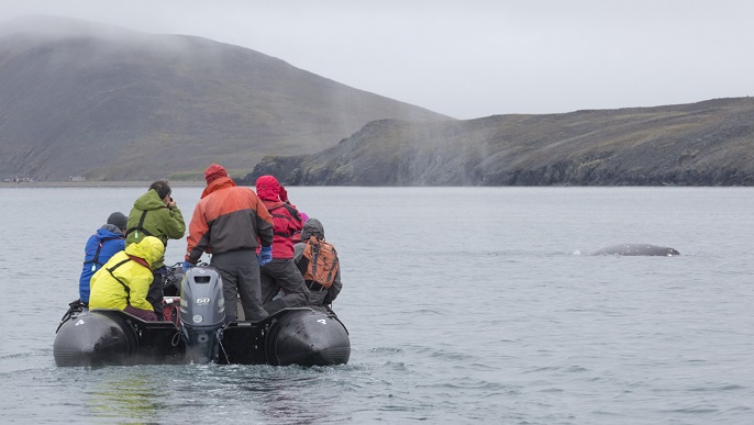 ゾディアック・クルーズ／北極クルーズ