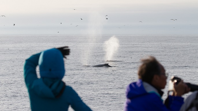 船上からの景色／北極クルーズ