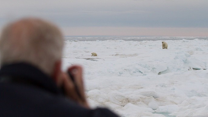 ホッキョクグマ／北極観光