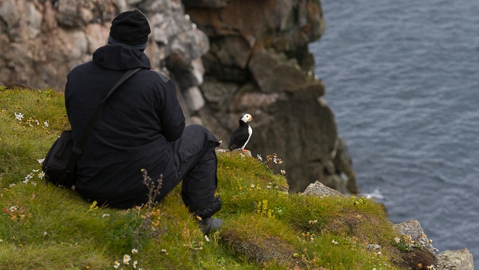 ニシツノメドリ／北極観光
